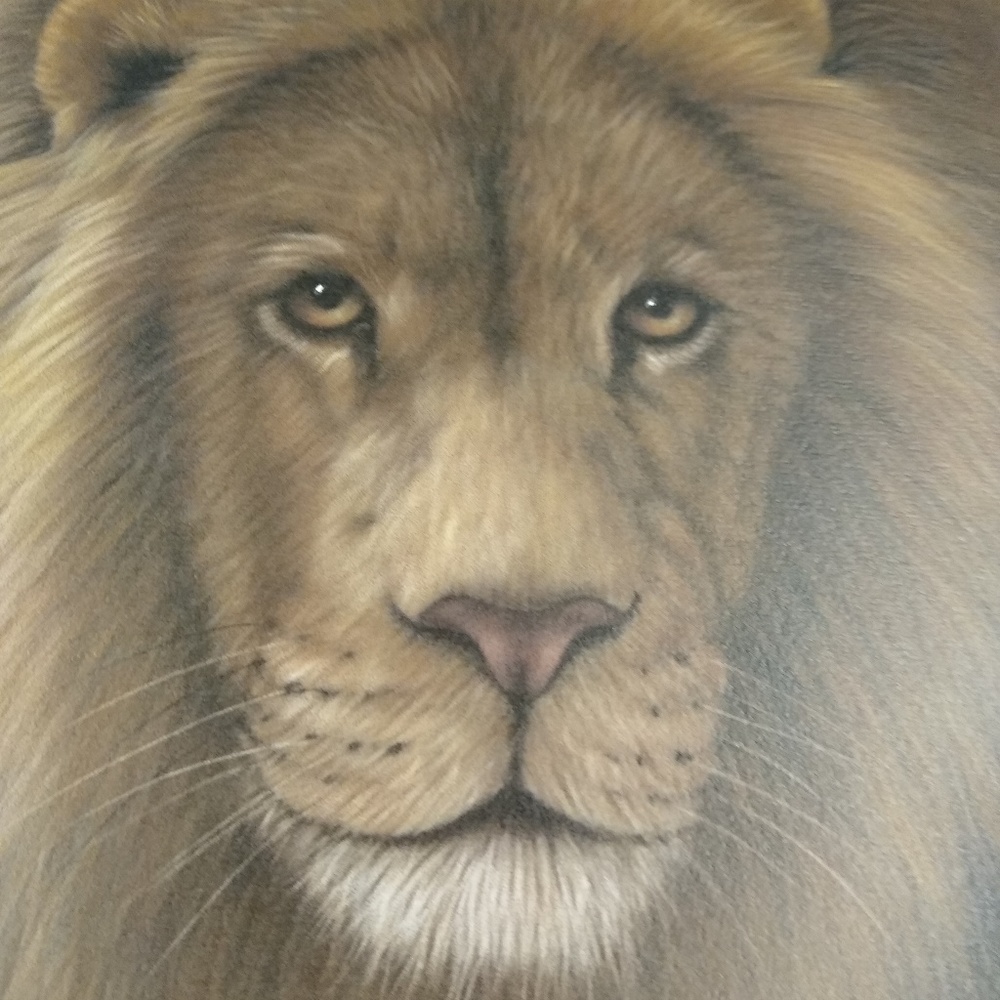 African Lion III By Harold Rigsby 687/975 Signed